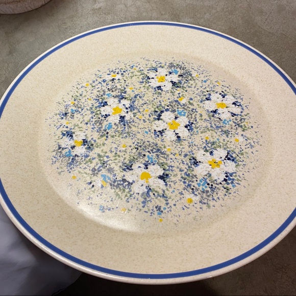 SOLD! Vintage DewDrops Temperware by Lenox plate - Picture 4 of 11